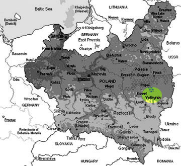 Antonowiecka Kolej Wąskotorowa